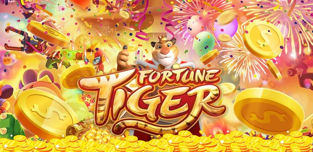 on4d